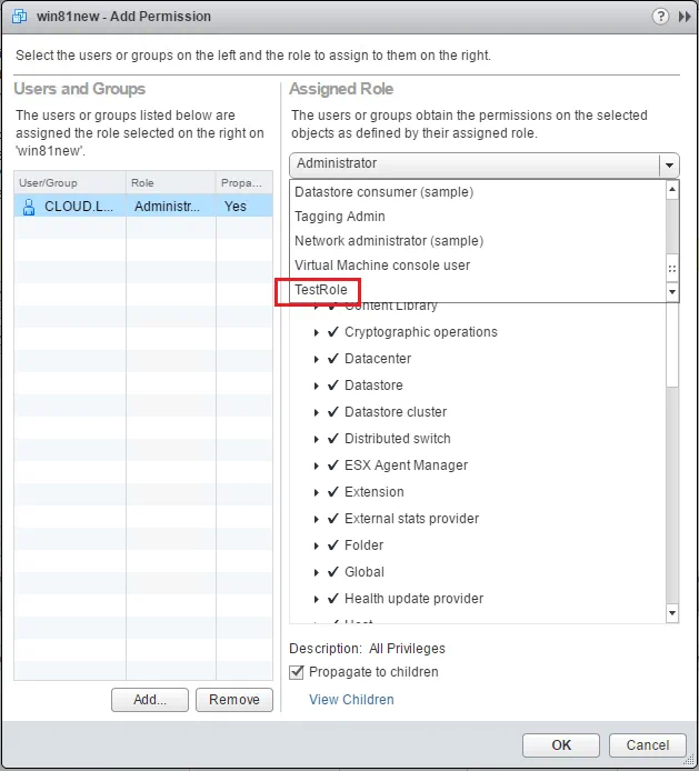 VMware vSphere Web Client - Función asignada