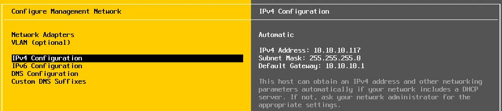 Checking IPv4 configuration on an ESXi host