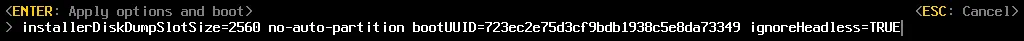 Setting ignoreHeadless=TRUE for correct ESXi boot