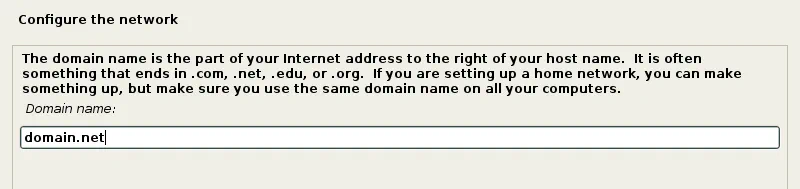 How to Install Kali Linux on VMware: Configuring a domain name for network options.