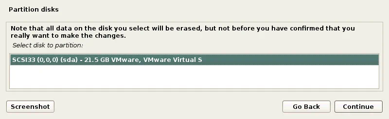 How to Install Kali Linux on VMware: Selecting a disk for partitioning