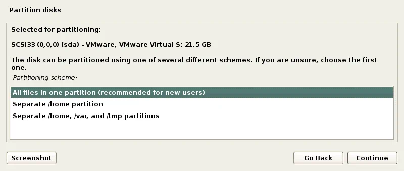 How to Install Kali Linux on VMware: Selecting a partition scheme