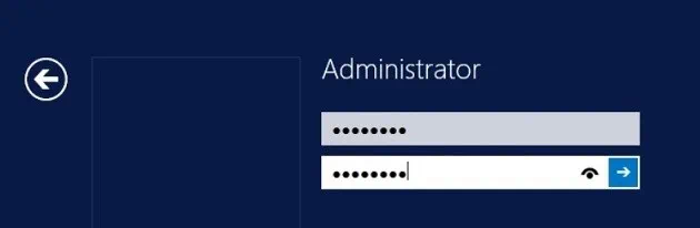 Setting the password (How to install Hyper-V Server)