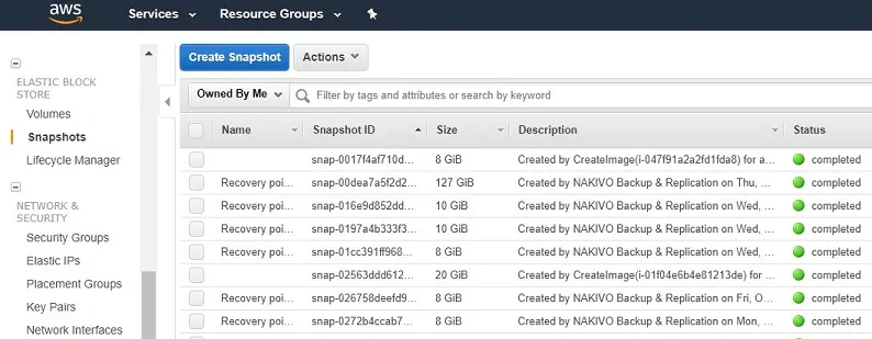 Snapshot Storage (AWS EC2 Backup)