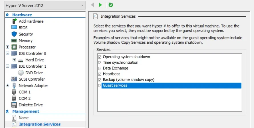 Hyper-V Integration Services (how to improve VM performance)
