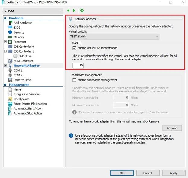 Network Adapter Settings (Hyper-V VLANs)