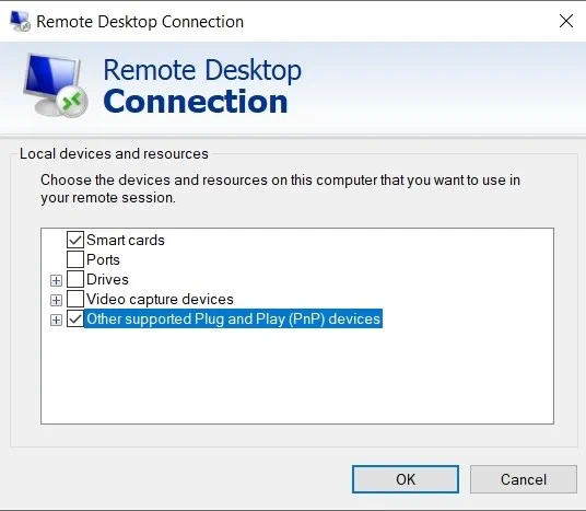 Otros dispositivos Plug and Play compatibles (Hyper-V USB Passthrough)