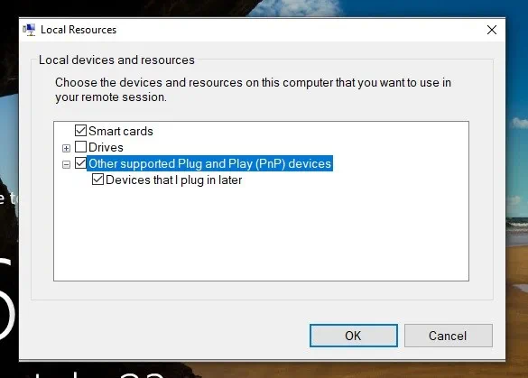 Dispositivos Plug and Play (Hyper-V USB Passthrough)