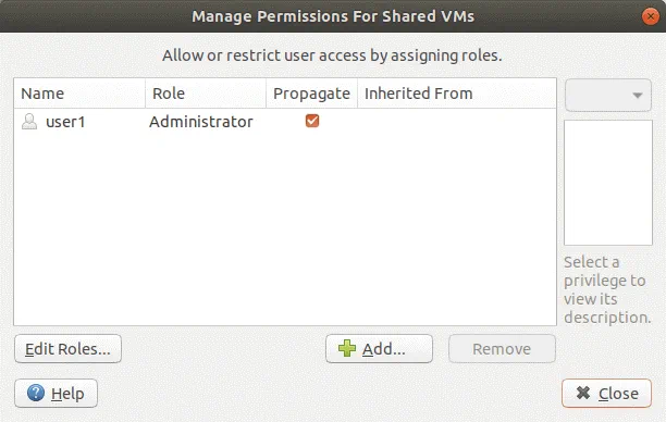 Gestión de permisos en VMware Workstation Server.