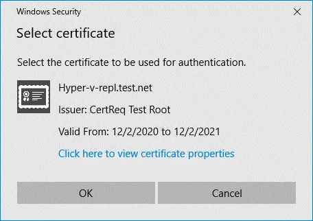 SSL certificate request on a Hyper-V replica server