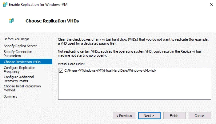 Selecting virtual disks to replicate
