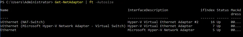 Displaying a list of virtual switches and checking the name of the recently created virtual switch