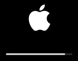 macOS installer hangs when trying to install macOS on VMware